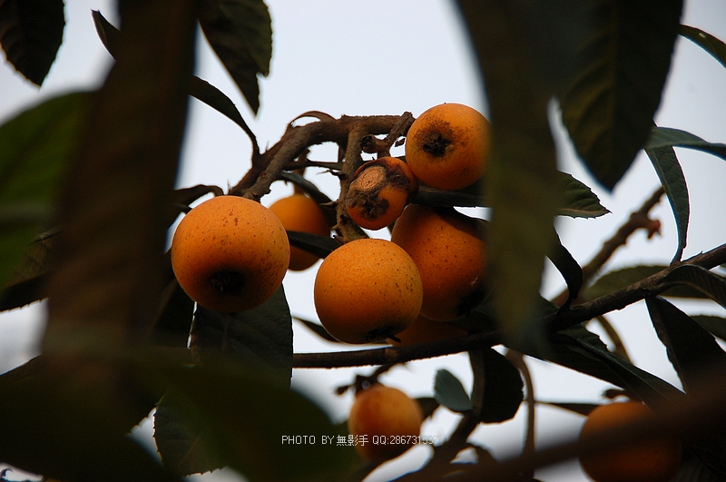 DSC_0189.jpg