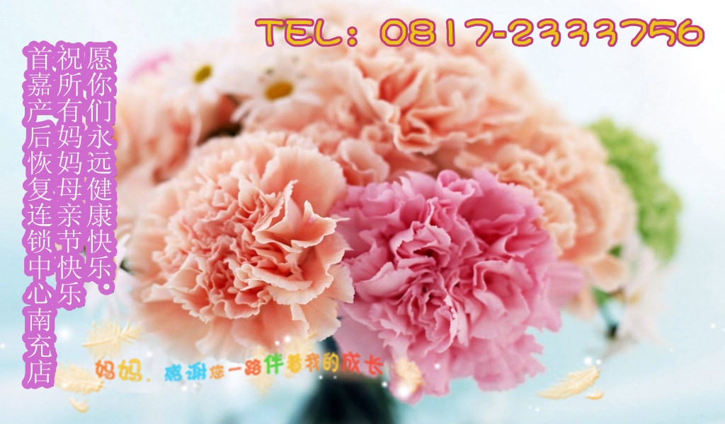 flower_carnation_flowers_mothers_day_27029_8__.jpg