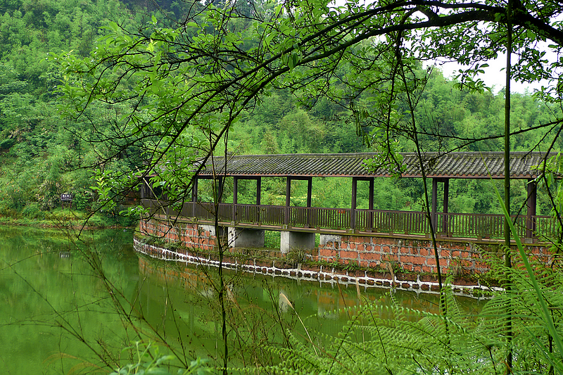 沐川竹海 優哉遊哉-走遍四川-四川旅遊景區-麻辣社區 四川第一網絡