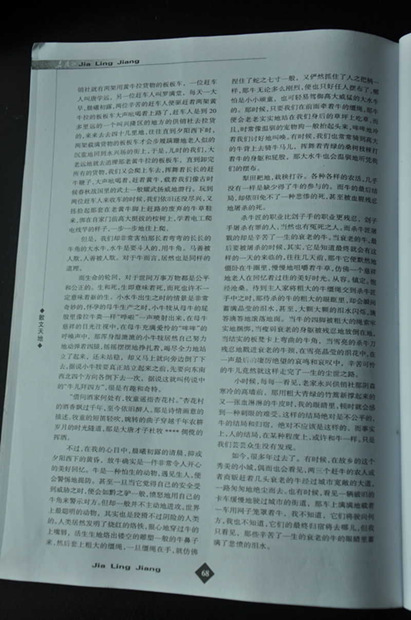 ƽӰ 019_.jpg