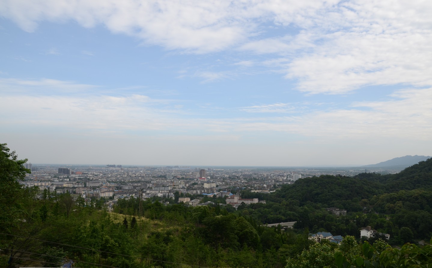 DSC_0681_conew1.jpg