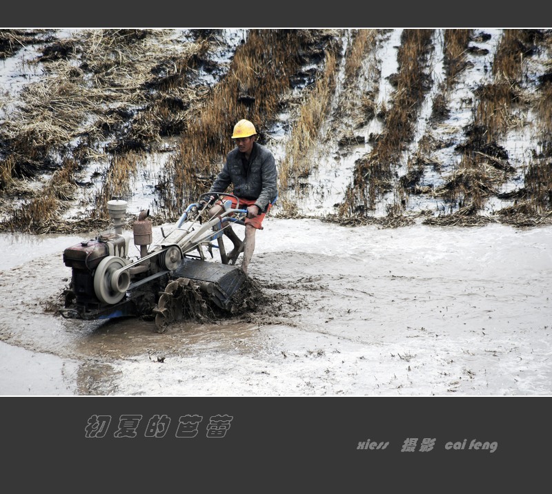 DSC03164a.jpg