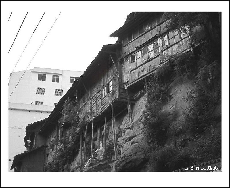 PICT0113_conew3.jpg