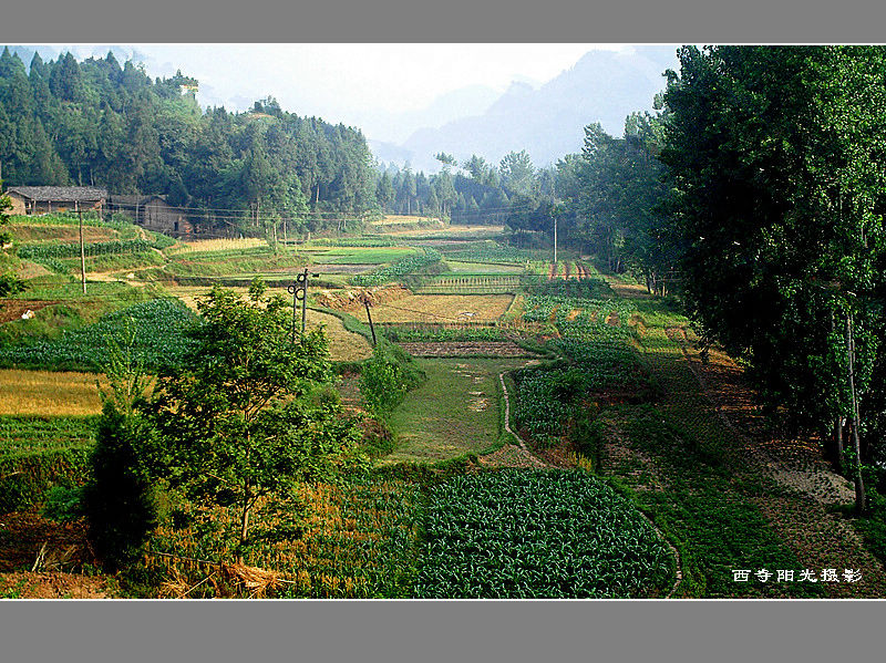 PICT0257_.jpg