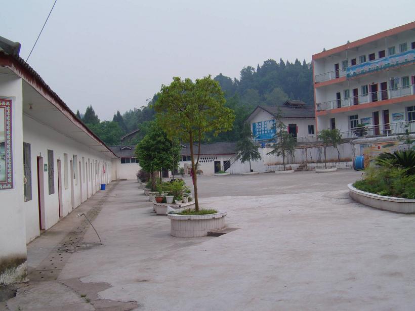 AMBA1181.JPG
