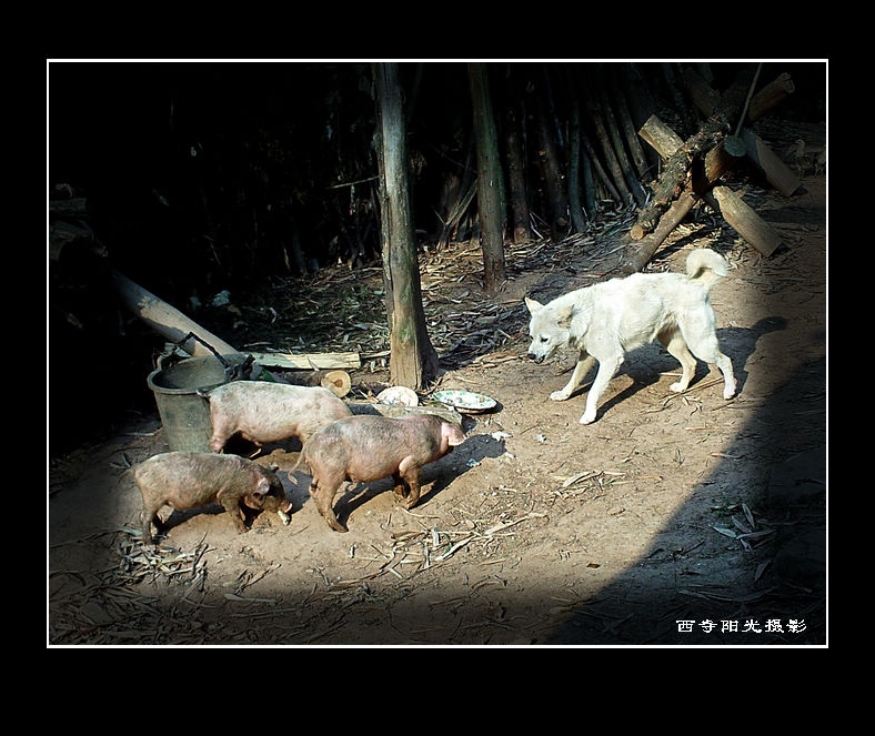 PICT0130_.jpg