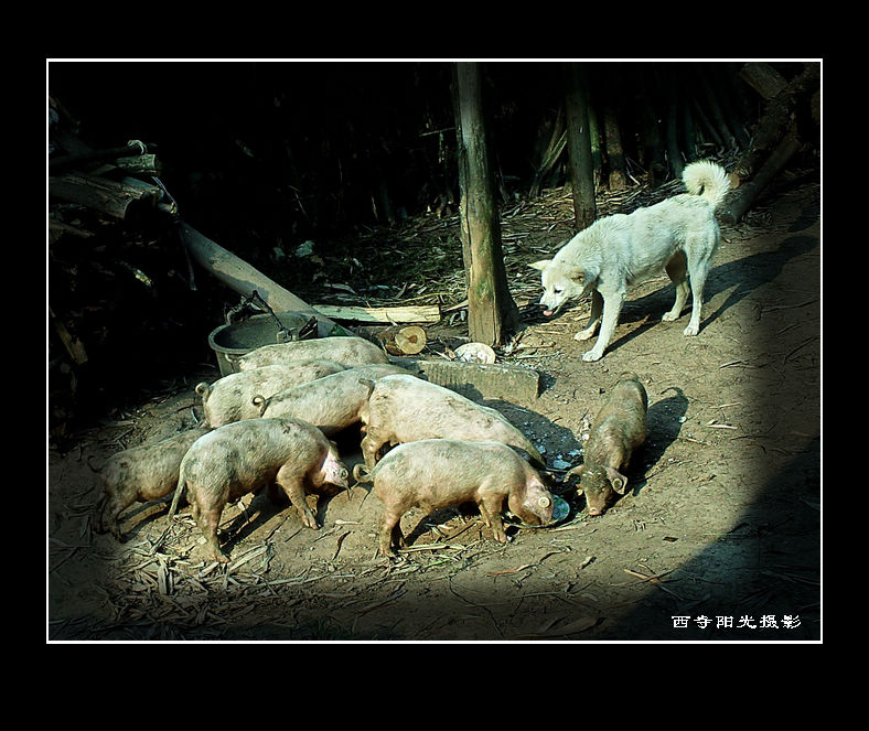 PICT0138.JPG