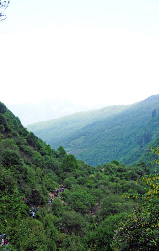 DSC_4750.jpg