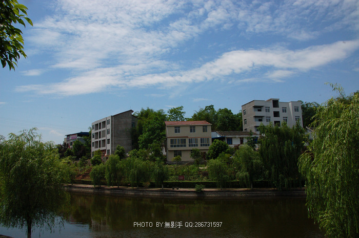 DSC_0491.jpg