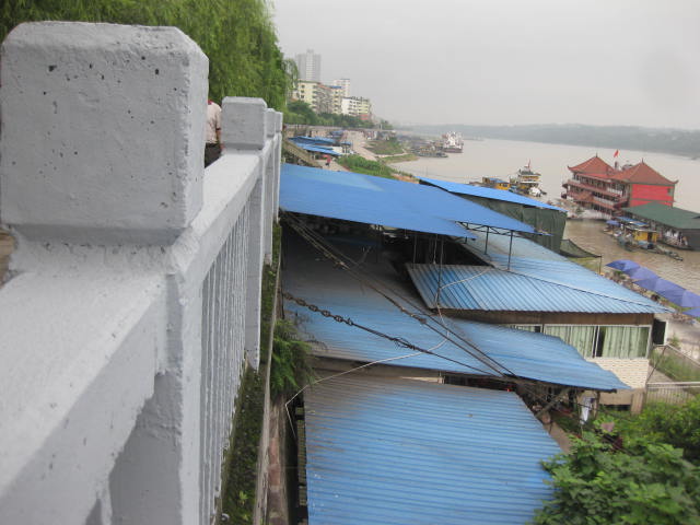 IMG_3576.JPG
