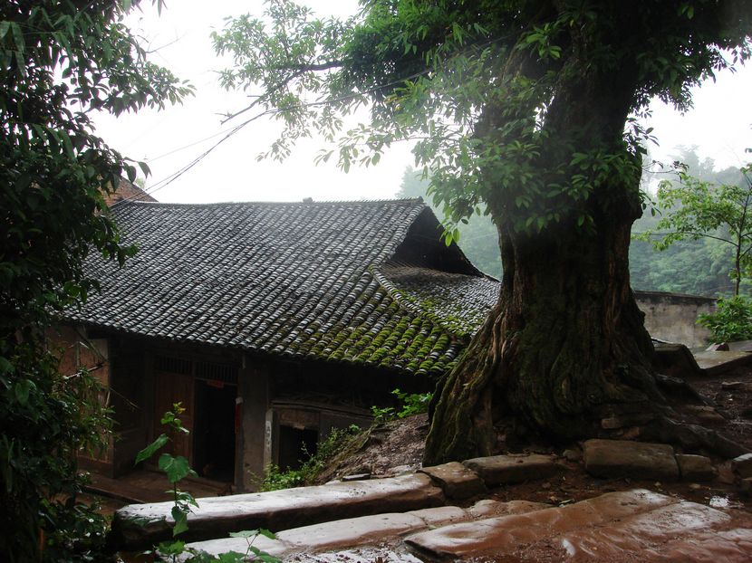 烟雨老林镇-营山论坛-麻辣社区 四川第一网络社区 你的言论 影响四川