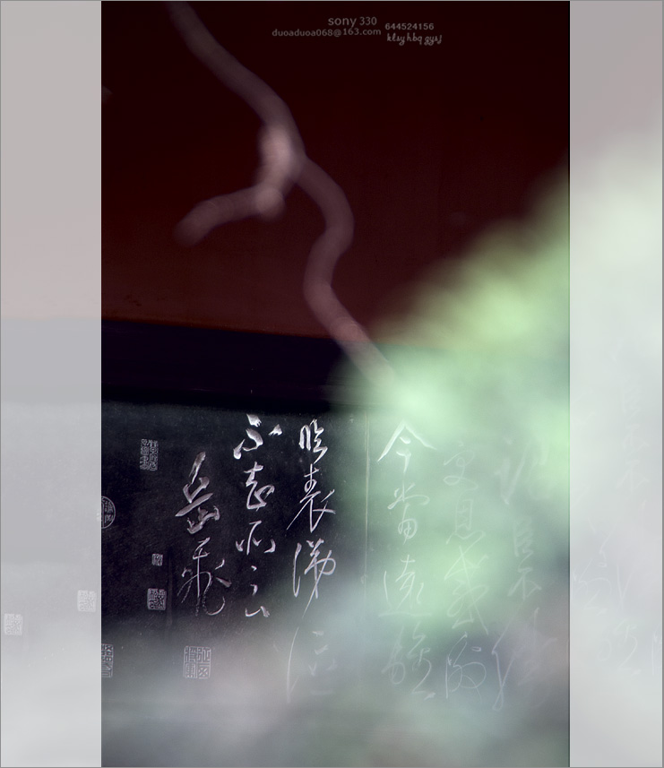1700DSC03863.jpg