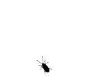 b03533fa828ba61eaa4452914134970a314e59e1[1].gif