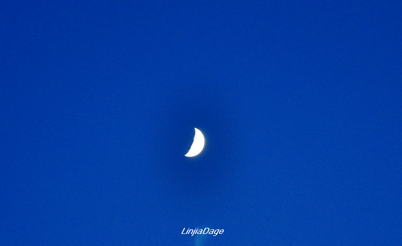 DSC_0371.jpg