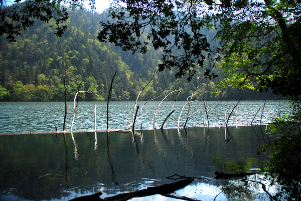 nEO_IMG_DSC_0574.jpg