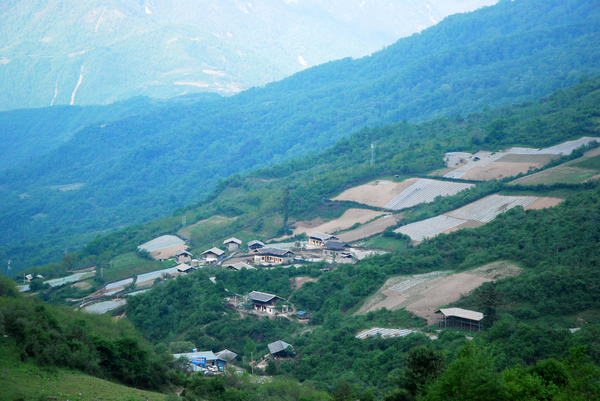 nEO_IMG_DSC_0780.jpg
