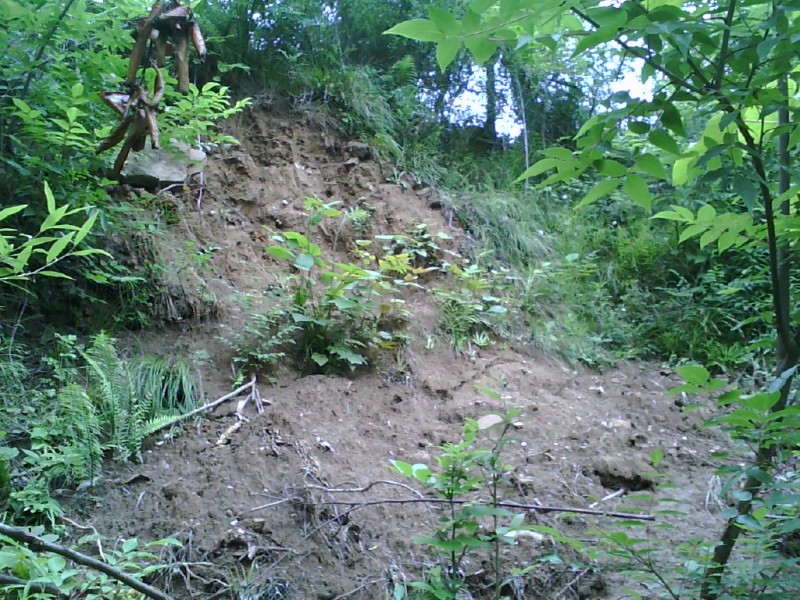 image20120530_151942_conew1.jpg