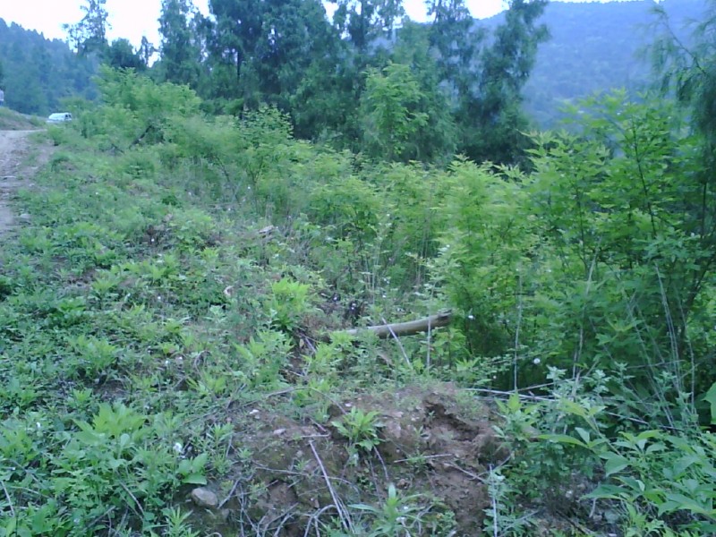 image20120530_152441_conew1.jpg