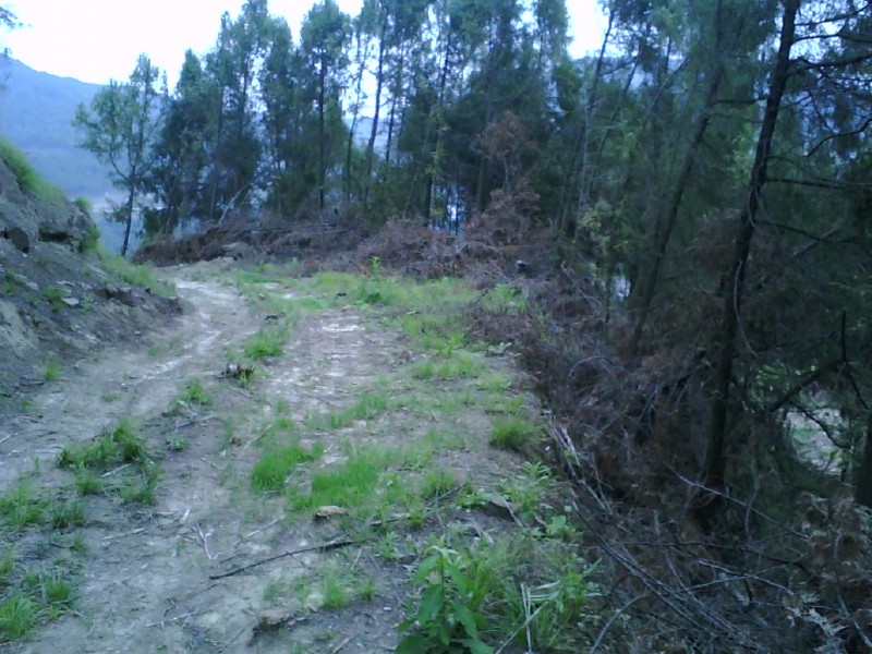 image20120530_154406_conew1.jpg