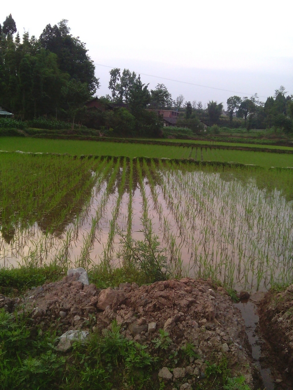 IMG00217.jpg