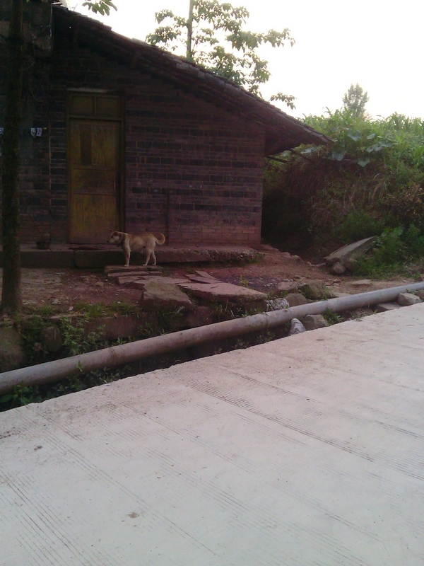 IMG00231.jpg