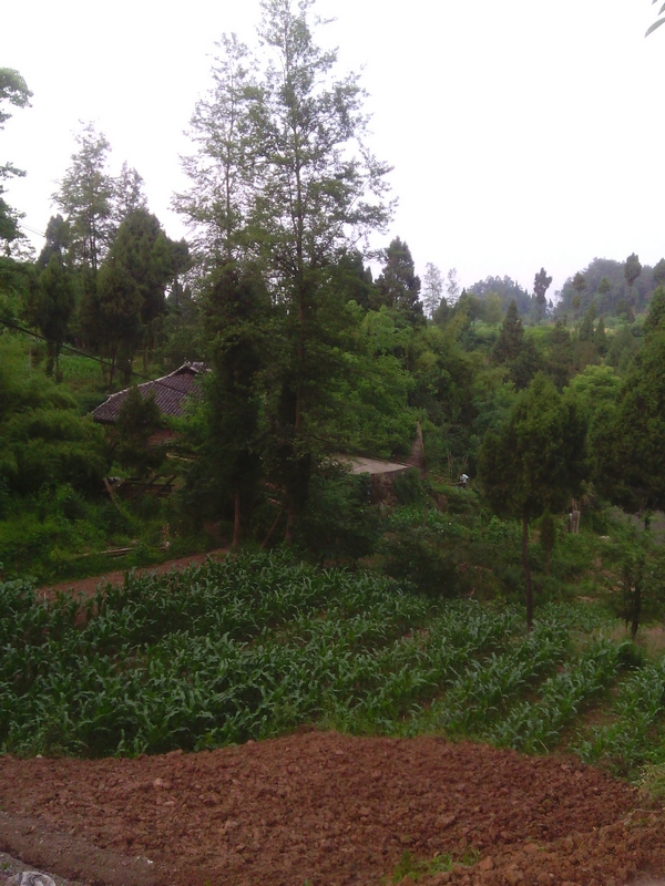 IMG00233.jpg