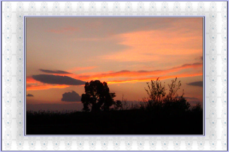 IMAG0086.jpg