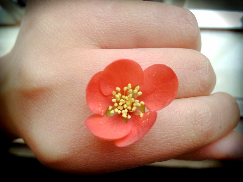 201204052705.jpg