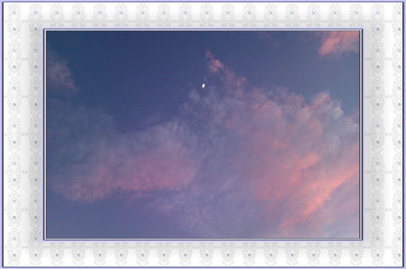IMAG0085.jpg