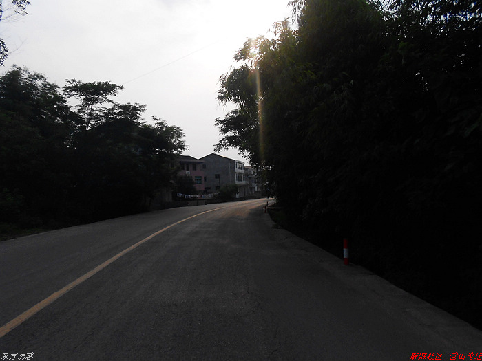 DSCN3848.jpg