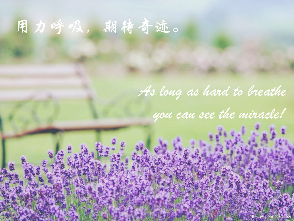 4ee7b211f041e7ffca80c48d.jpg