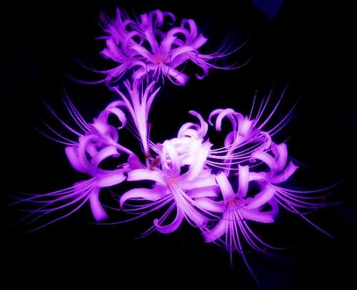 ɳ˰ (35).jpg