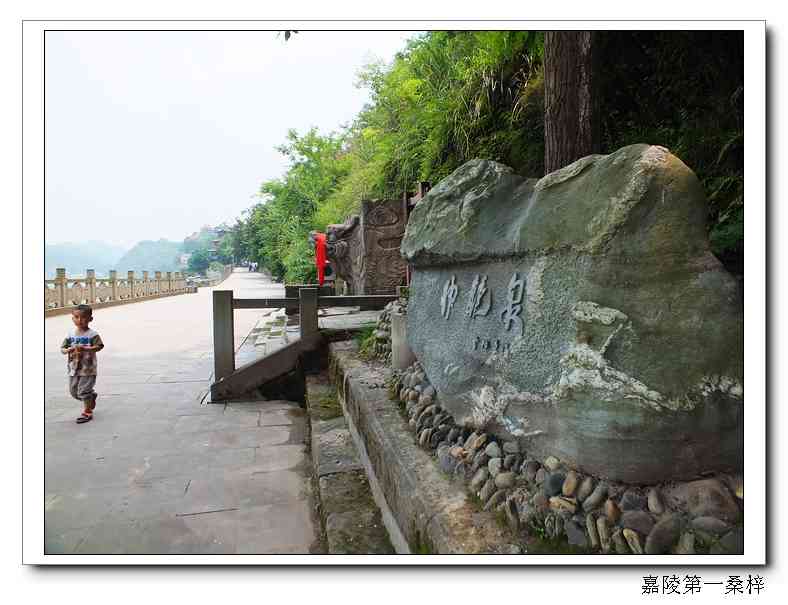 DSCF7305.jpg