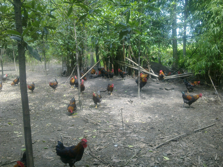201206071304.jpg