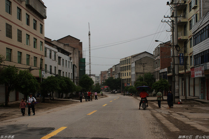 DSC03356.jpg