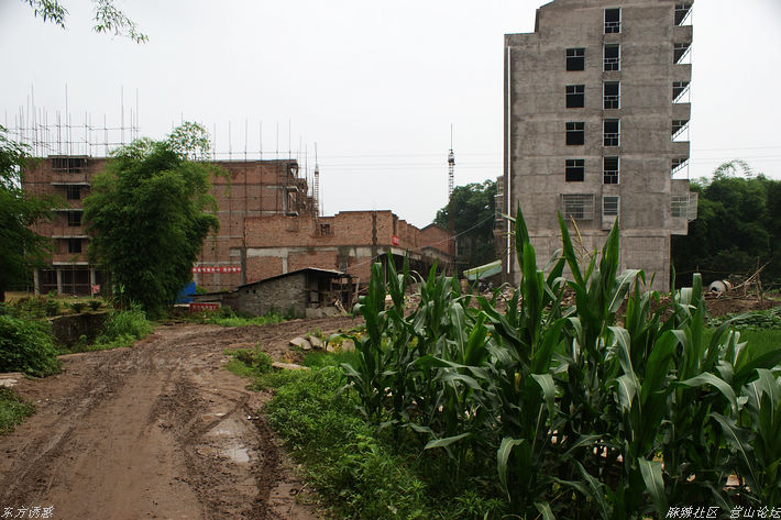 DSC03362.jpg