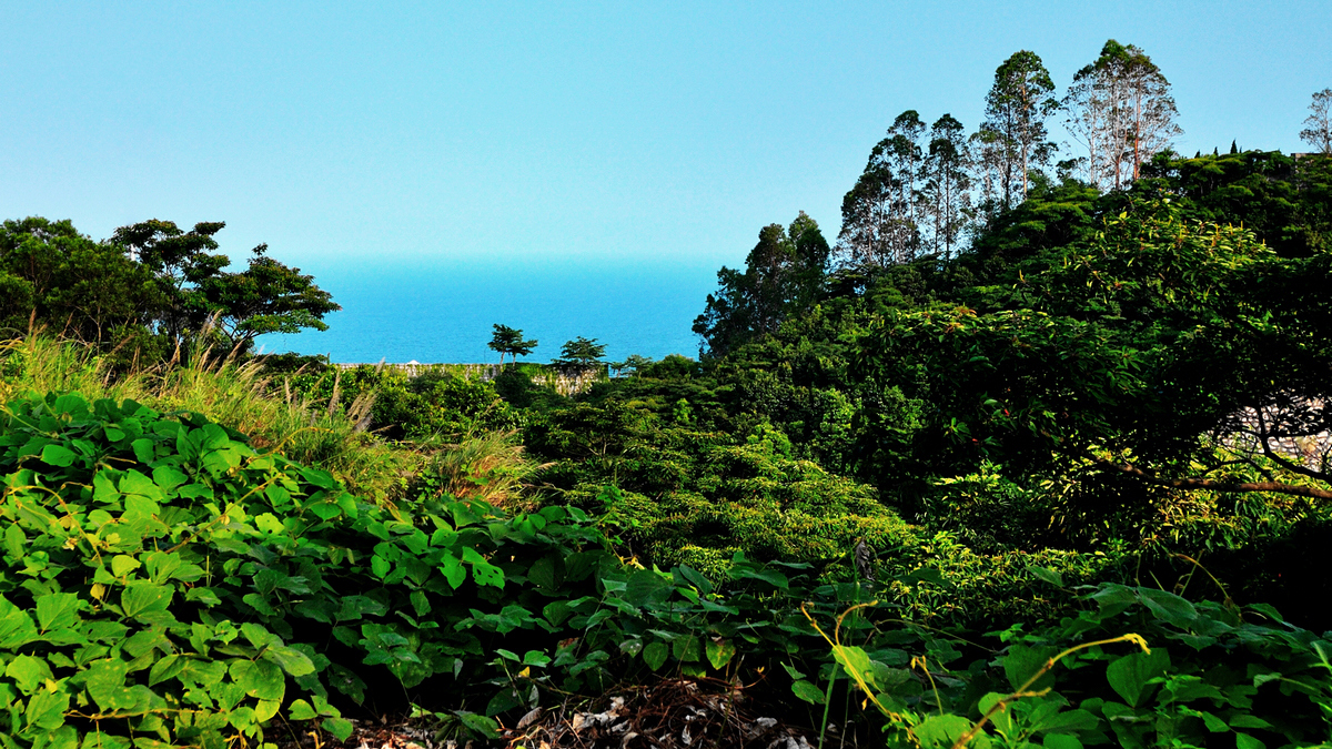 DSC_1086-3.jpg