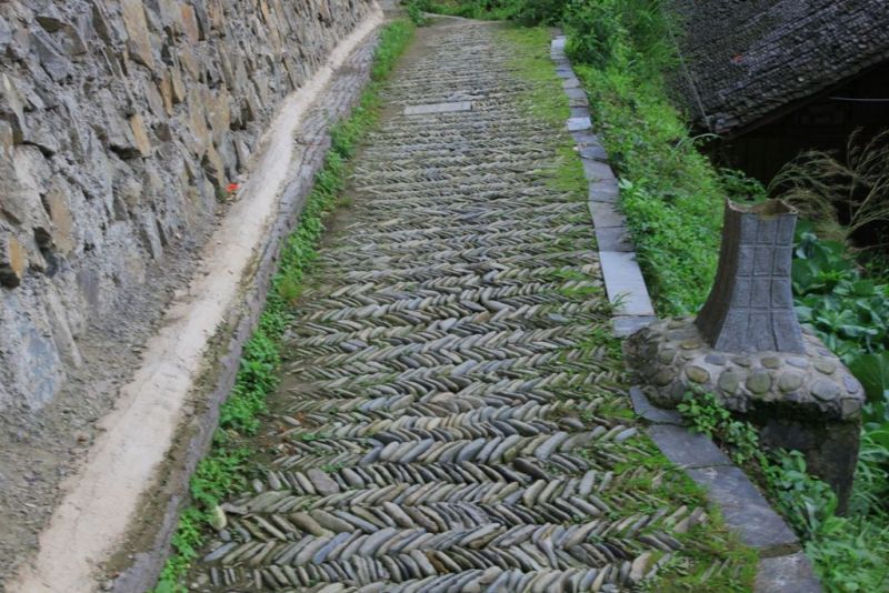  (164).JPG