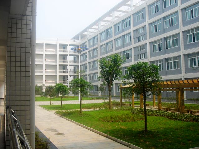 DSC02175.JPG