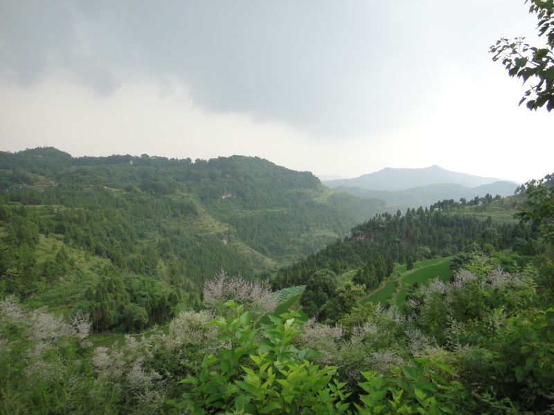 DSC02064.jpg