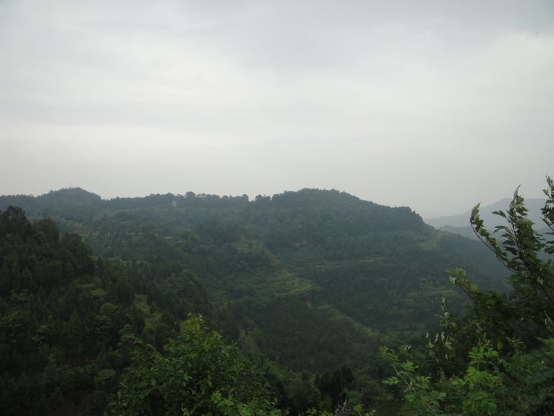 DSC02105.jpg