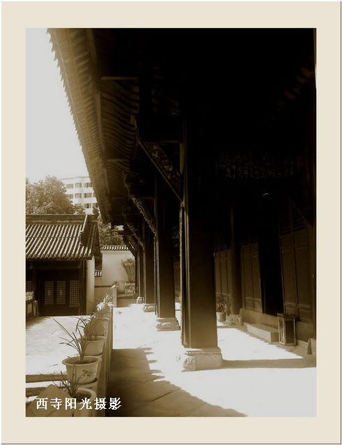  022_conew1.jpg