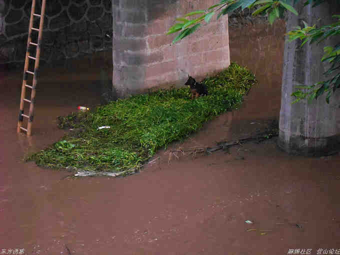 DSCN4310.jpg
