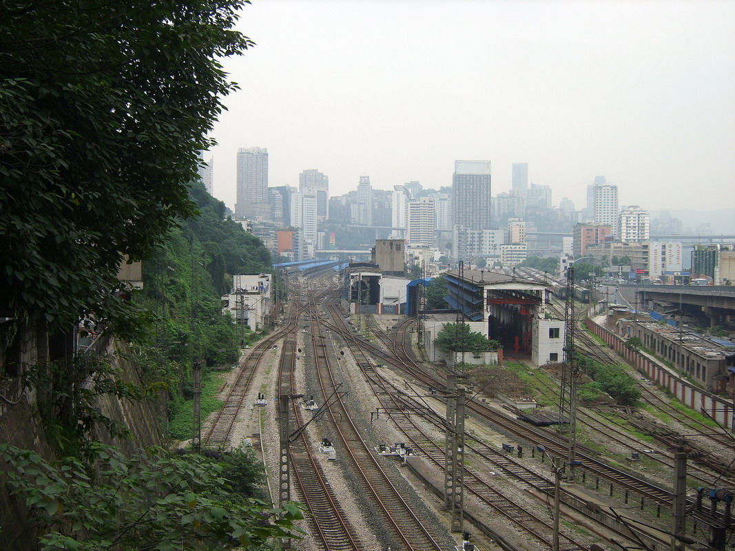 S8002952.jpg