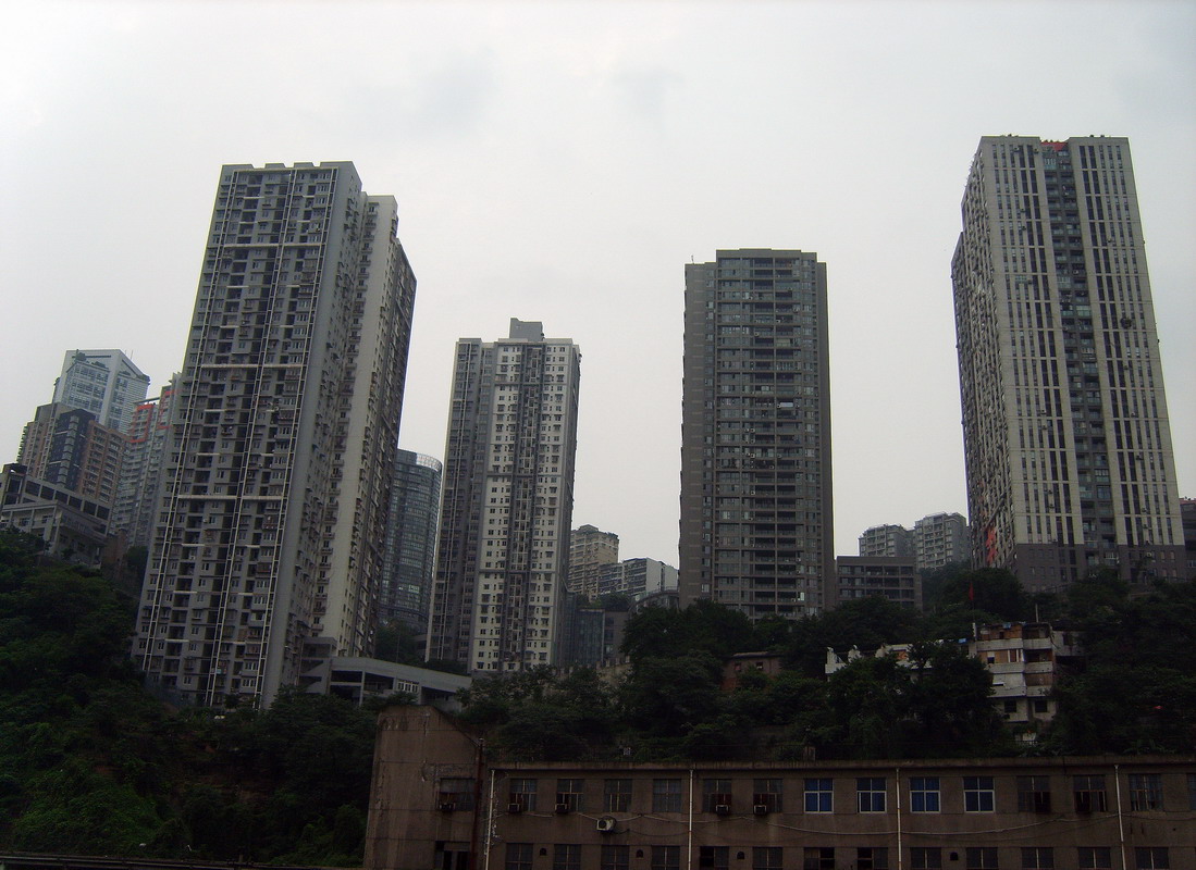 S8002963.jpg