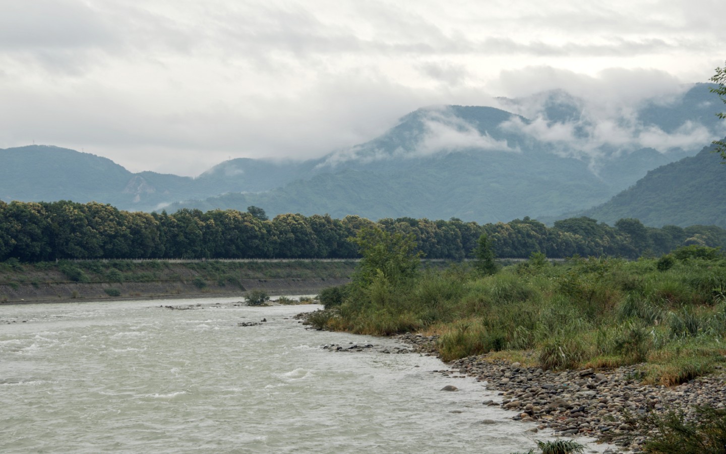 _DSC2677_conew3.jpg