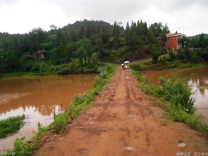 DSCN4380.jpg