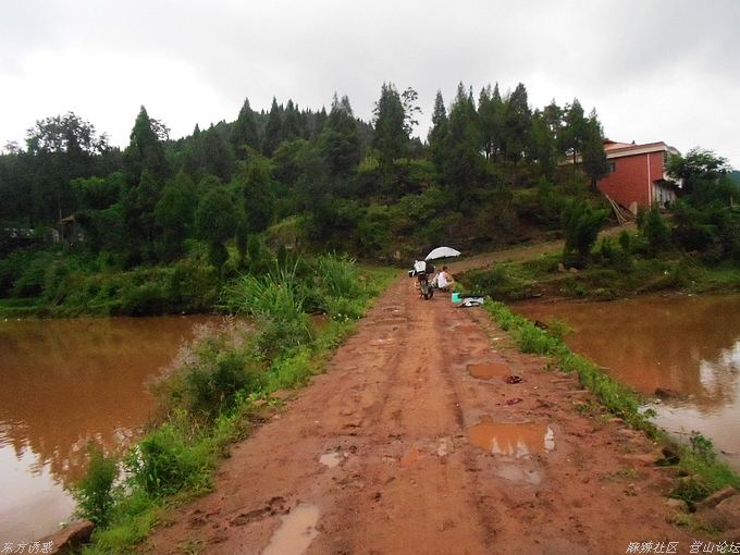 DSCN4382.jpg