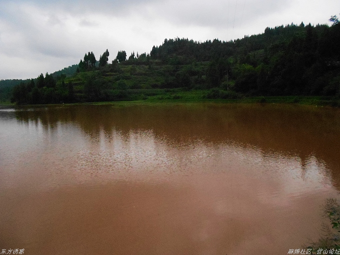 DSCN4383.jpg