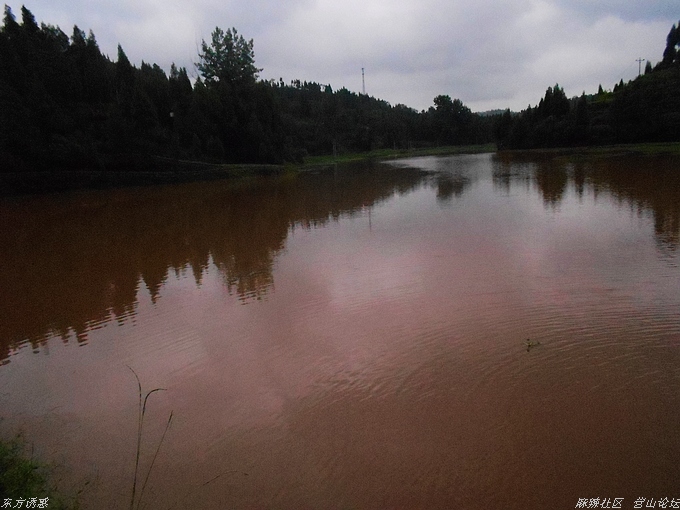 DSCN4390.jpg